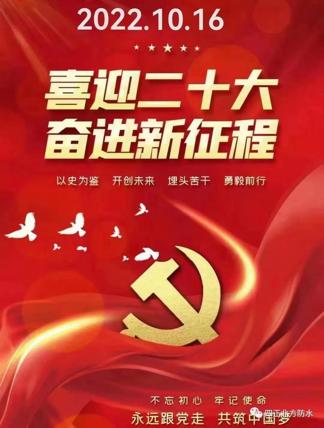 1666173082211238mEhQ.jpg 11.jpg